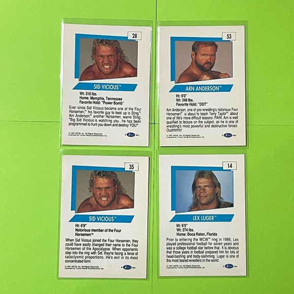 24 WWF WCW 90's Wrestling Trading Cards Classic Hulk Hogan Andre Giant Bret Hart - Picture 14 of 14